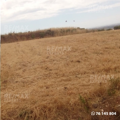 Lands for sale in Ghzayleh - R9-367 Land for sale in Ghzayleh-Akkar!!