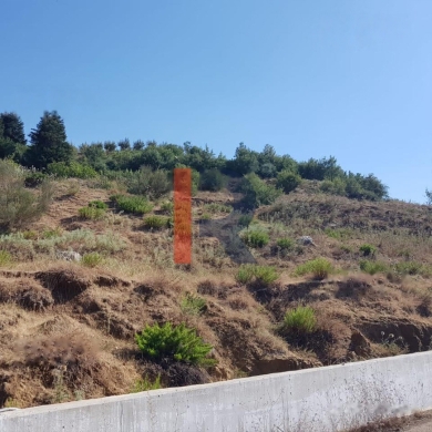 R9-425 Land for sale in Akkar !