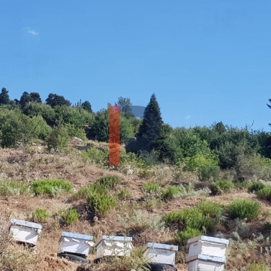 R9-425 Land for sale in Akkar ! — 4