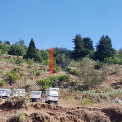R9-425 Land for sale in Akkar ! — 6
