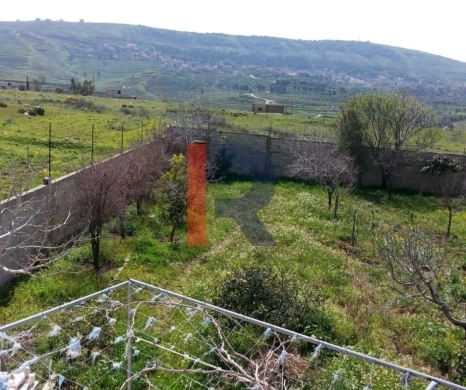 R9-613 Land for Sale in Qsair Akkar – 1,750 m²,Exclusive Price — 6