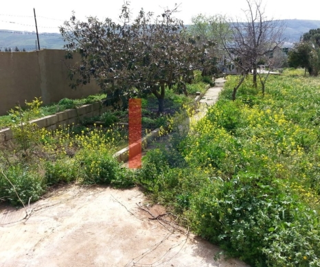 R9-613 Land for Sale in Qsair Akkar – 1,750 m²,Exclusive Price — 2