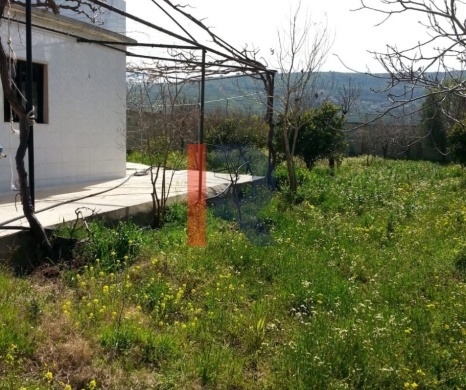R9-613 Land for Sale in Qsair Akkar – 1,750 m²,Exclusive Price