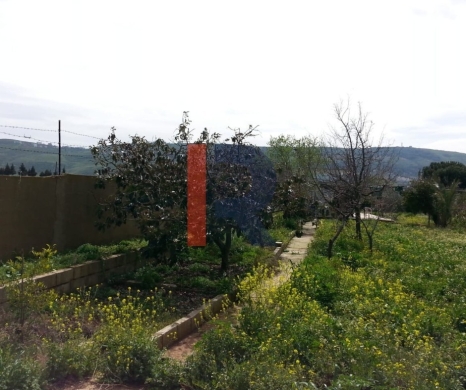 R9-613 Land for Sale in Qsair Akkar – 1,750 m²,Exclusive Price — 13