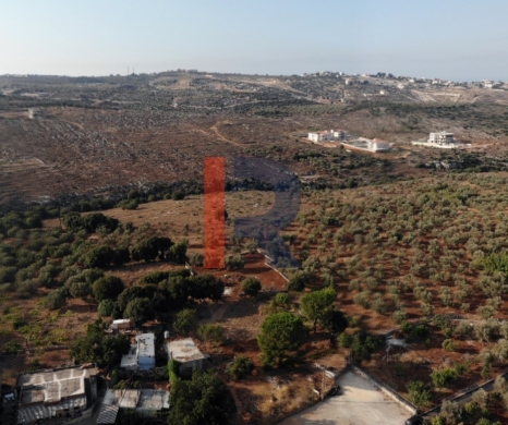 R9-1168 Prime Land for Sale in Aaba Koura | 2,905 m² | 25/50 Zoning Investment Opportunity — 2