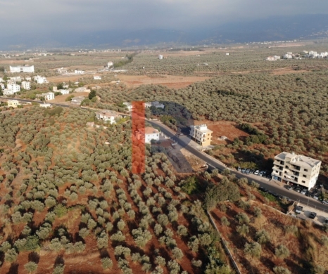R9-1168 Prime Land for Sale in Aaba Koura | 2,905 m² | 25/50 Zoning Investment Opportunity
