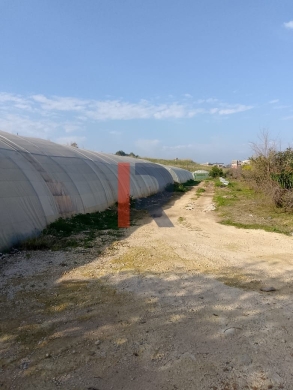 R9-1267 Land For Sale In Menye Bhenin