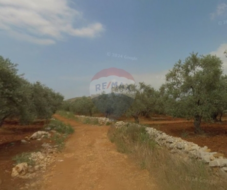 R9-1293 Land for Sale in Btouratij – Koura, 1620 m², Zoning 25/75, Exclusive Priceأرض للبيع في بتوراتيج – الكورة، 1620 م²، تصنيف 25/75، سعر حصري
