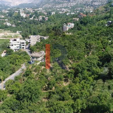 R9-1459 Land For Sale In Danniye-Sir! — 4