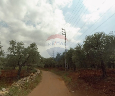 R9-1520 Land for Sale in Btouratij – Koura, 2800 m², Zoning 25/75أرض للبيع في بتوراتيج – … — 3