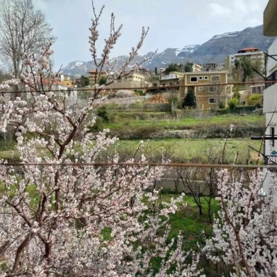 R9-1742 Furnished apartment 220m with jacuzzi for sale in Syr - Danniyeh — 9
