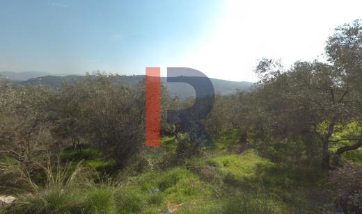 R9-1798 Land for Sale in Bzal - Akkar