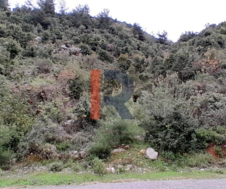 R9-2355 Land for sale in Danniyeh – North Lebanon