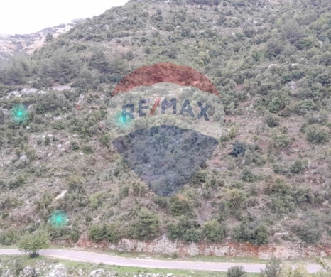 R9-2355 Land for sale in Danniyeh – North Lebanon — 2