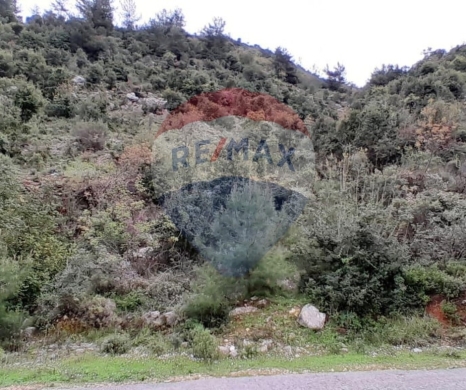 Lands for sale in Sir El Danniyeh - R9-2355 Land for sale in Danniyeh - North Lebanon
