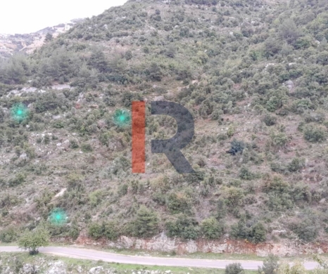 R9-2355 Land for sale in Danniyeh – North Lebanon — 2