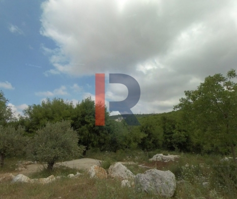 R9-2468 Land 35,386m for Sale in Bhabboush – Koura — 3