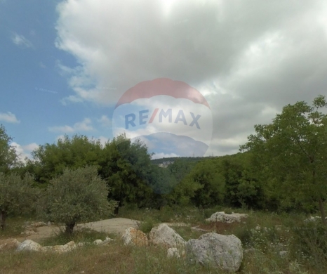 R9-2468 Land 35,386m for Sale in Bhabboush – Koura — 3