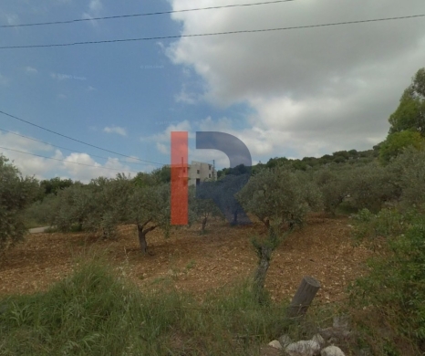 R9-2468 Land 35,386m for Sale in Bhabboush – Koura — 2