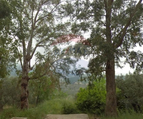 اراضي للبيع في Ain Aakrine - R9-2473 Land 4172m for Sale in Ain Akkrine - Koura
