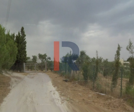 R9-2522 Land 23,077m² for Sale in Barghoun – Koura — 2