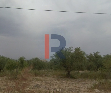 R9-2522 Land 23,077m² for Sale in Barghoun – Koura — 4