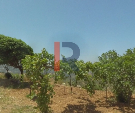 R9-2533 Land for Sale in Dar Bechmezzine – Koura — 2