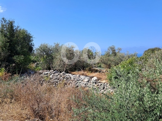 Lands for sale in Mounsef - Land for Sale Monsef Jbeil Area 1255Sqm