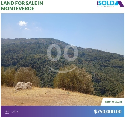 Lands for sale in Monteverde - 1250m2 Land having an Unblockable mountain view for sale in Monteverde