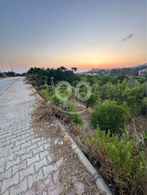 Land for Sale Batroun City Area 4663Sqm — 2