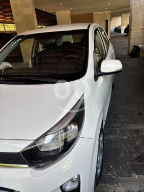 Kia in Beirut City - Picanto 2020