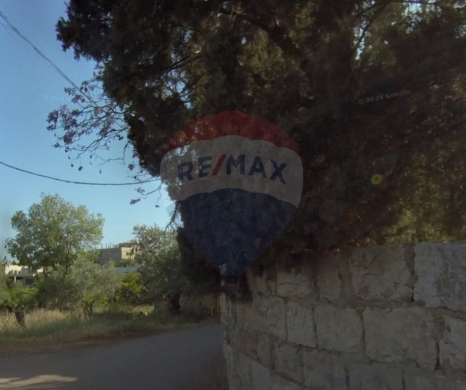 Lands for sale dans Nakhleh - R9-2625 Land for Sale - Nakhleh, Koura