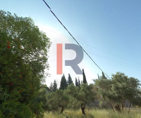 R9-2625 Land for Sale – Nakhleh, Koura — 3