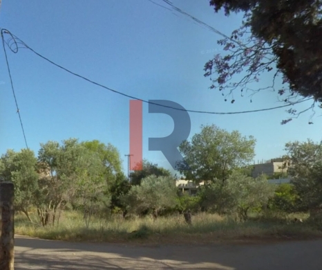 R9-2625 Land for Sale – Nakhleh, Koura — 2