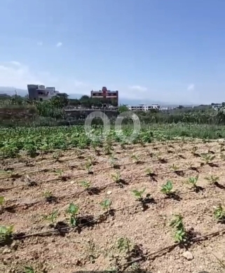 Lands for sale dans Tripoli - ارض للبيع في بساتين طرابلس