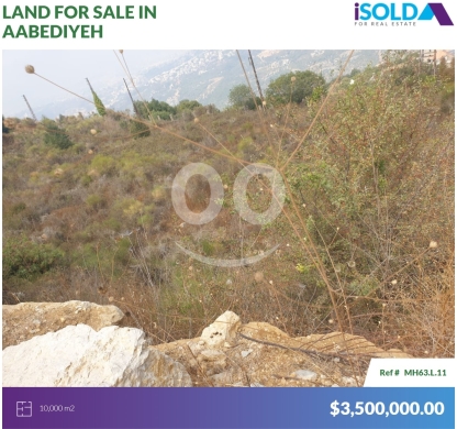Lands for sale in Abadiyeh - 10000m2 Land+open city view 4sale in Aabediyeh/Aley - أرض في العبادية