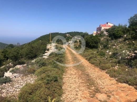 Land for Sale Hakel Jbeil Area 1210Sqm — 2