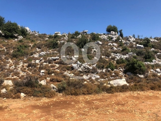 Land for Sale Hakel Jbeil Area 1210Sqm — 3