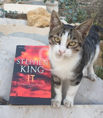 Music, Films & Books in Bteghrine - new and used books for sale