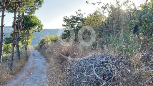 Land for Sale Hadtoun Batroun Area 1890Sqm — 3