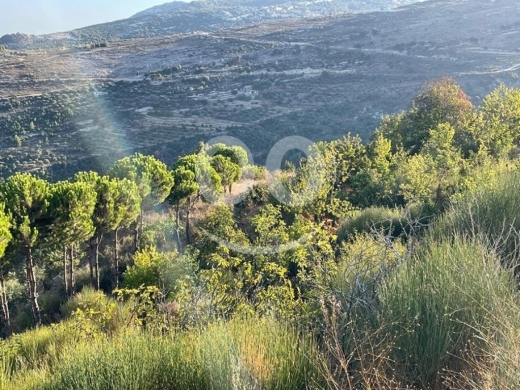 Land for Sale Hadtoun Batroun Area 1890Sqm — 2