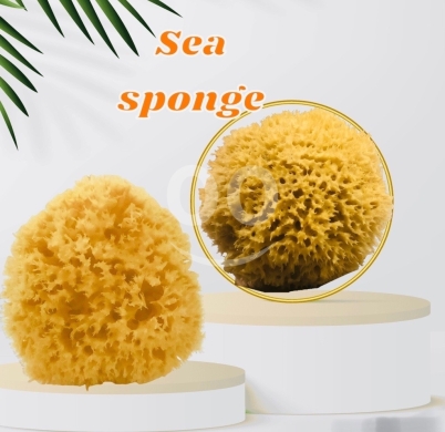 Santé & Beauté dans Ain Ab - إسفنجة البحر الطبيعية الفاخرة للاستحمام والعناية | Premium Natural Sea Sponge for Bath & Skincare