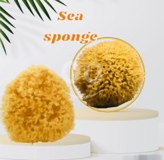 إسفنجة البحر الطبيعية الفاخرة للاستحمام والعناية | Premium Natural Sea Sponge for Bath & Skincare