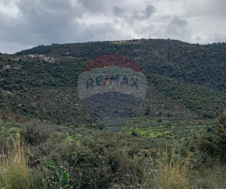 Lands for sale in Bhabouch - R9-2672 Land for Sale - Bhabbouch, Koura