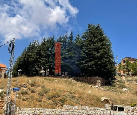 R9-2683 Chalet for Rent – Arz Bcharre, North Lebanon — 3