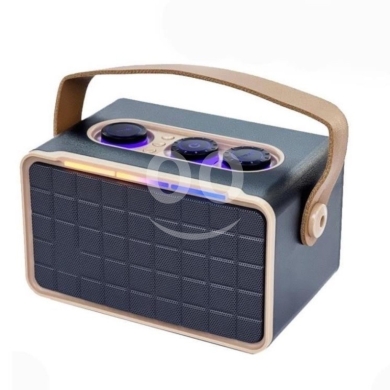 Party 200 wireless speaker with 2 wireless EGB microphones