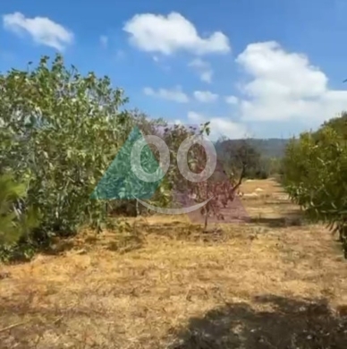 Lands for sale in Arbaniyeh - Prime Land +mountain View 4 sale in Aarbaniye - أرض للبيع في العربانيةPE1L599