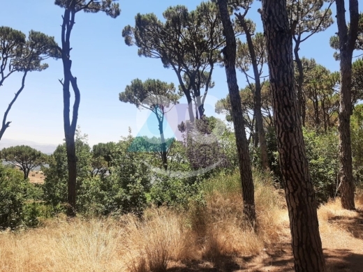 Other real estate in Douar - 2 bedroom stand alone home+mountain view 4rent in Douar-منزل في الدوار