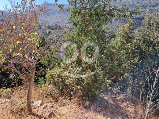 Land for Sale Adonis Sannour Jbeil Area 2666Sqm — 3