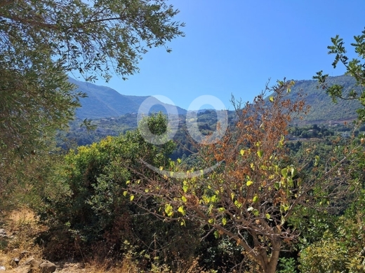 Lands for sale in Adonis - Land for Sale Adonis Sannour Jbeil Area 2666Sqm